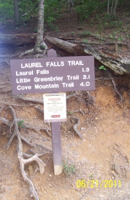 Laurel Falls trailhead