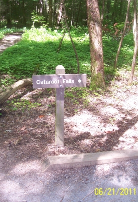 Along the Cataract Falls trail