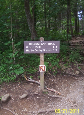 Trail to Grotto Falls