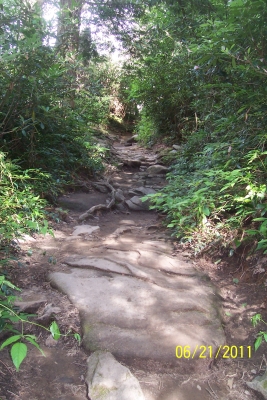 Grotto Falls trail