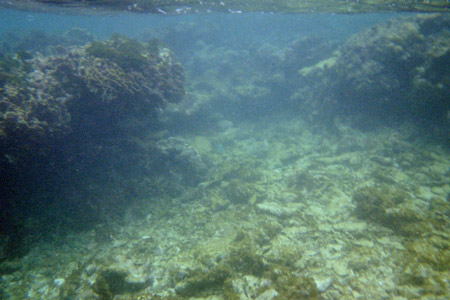 Underwater views