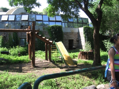 More panda jungle gyms!