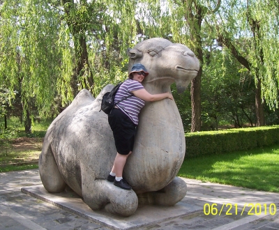 camel