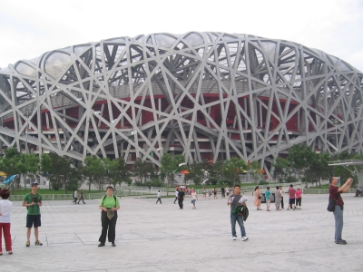 nest